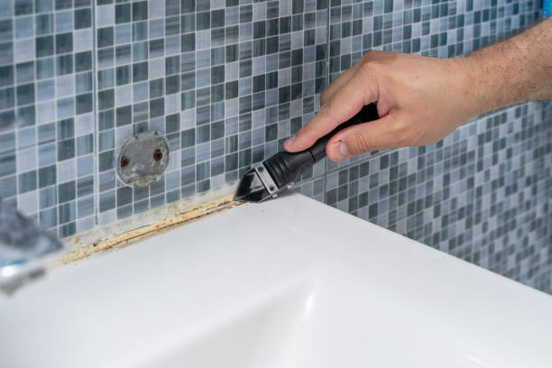 Best Emergency Mold Removal  in Royal Oak, MI
